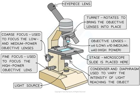 microscopes lenses|Microscope Optical Components .